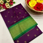 Asawali Kadiyal Paithani - Image 7