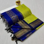Kalanjali Paithani Handwork Aariwork Blouse